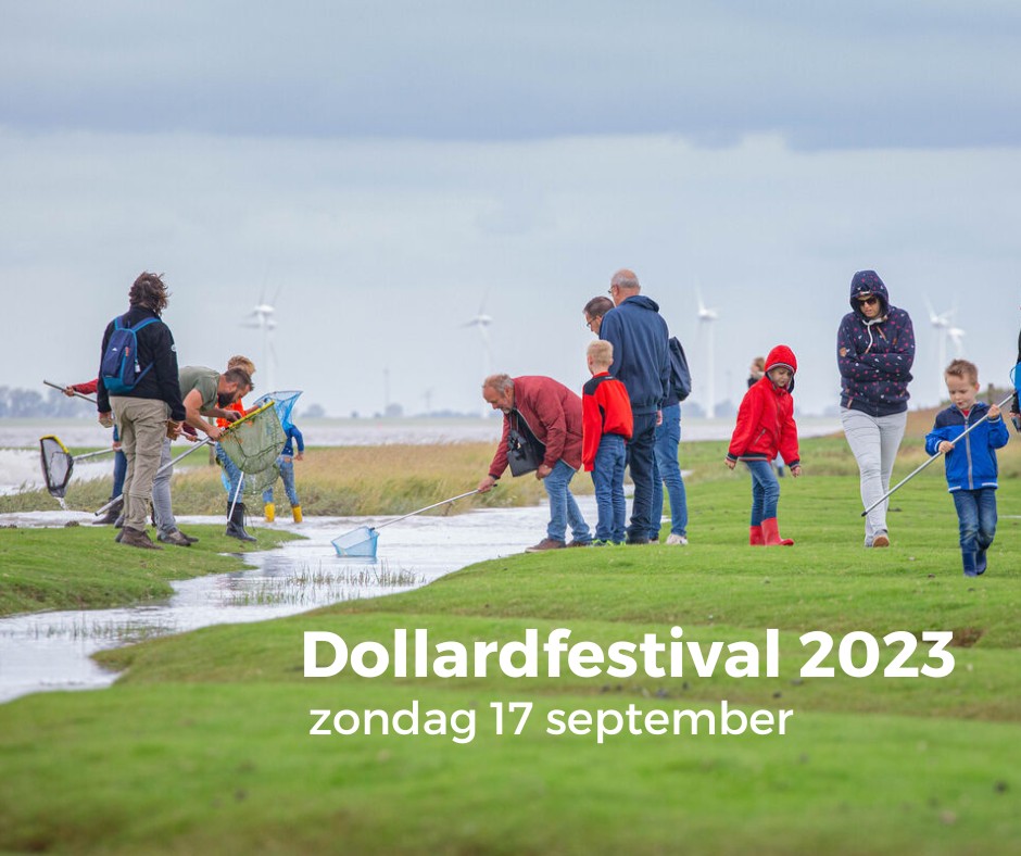 Dollardfestival 2023 Het Groninger Landschap